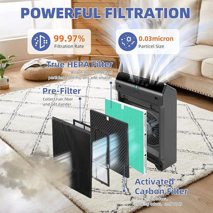 5510 5520 HEPA Toxin Absorbe Air Purifier Filter Q Replacement for Winix 5510 5520 Plasmawave Air Purifier H13 True HEPA Carbon Filter,# 1712-0123-00,2 Combon Set