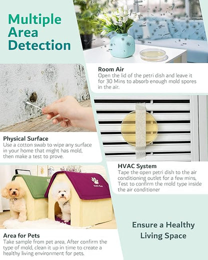 Mold Test Kit for Home - 4 Simple Detection Tests for HVAC, Surfaces & Indoor Air Quality, DIY Black Mold Detector Testing kit at Home, with Detailed Identification Guide & Free Lab Analysis
