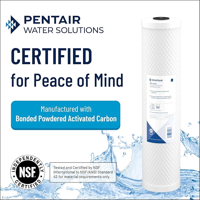 Pentair Pentek CBC20-BB Big Blue Carbon Water Filter, 20-Inch, Whole House Carbon Block Replacement Cartridge with Bonded Powdered Activated Carbon (PAC) Filter, 20" x 4.5", 0.5 Micron, Pack of 4