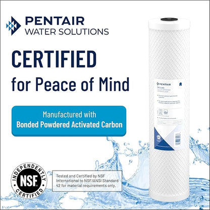 Pentair Pentek CBC20-BB Big Blue Carbon Water Filter, 20-Inch, Whole House Carbon Block Replacement Cartridge with Bonded Powdered Activated Carbon (PAC) Filter, 20" x 4.5", 0.5 Micron, Pack of 4
