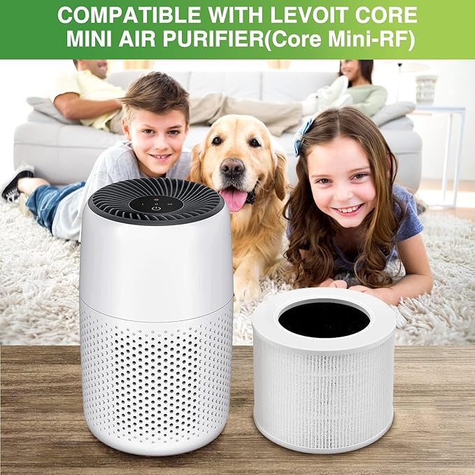 Core Mini Replacement Filter