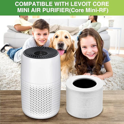 Core Mini Replacement Filter