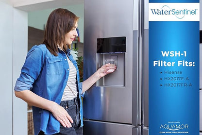 WaterSentinel WSH-1 Refrigerator Replacement Filter Fits: Hisense HX2017F-A, HX2017FR-A