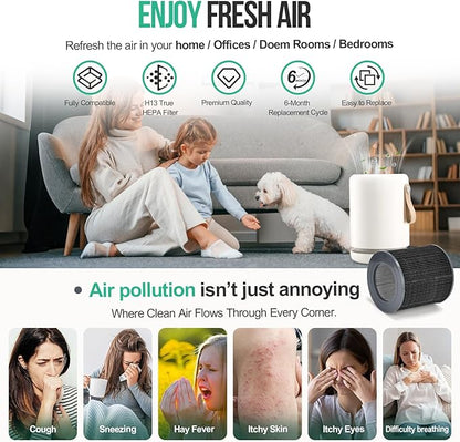 1 Pack Air Mini Replacement Filter Compatible with Molekule PECO-HEPA Tri-Power Air Mini & Air Mini+ Air Purifiers, 3-in-1 High-Efficiency True HEPA Replacement Filter (Green, 1 Pack)