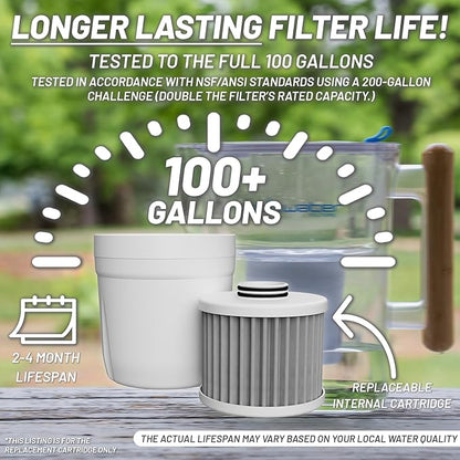 Epic Water Filters Pure XP REPLACEMENT CARTRIDGE ONLY/Compatible with Epic Pure Water Pitcher/Removes Fluoride, Lead, Forever Chemicals, Heavy Metals, Industrial Pollutants/Filters 100 Gallons