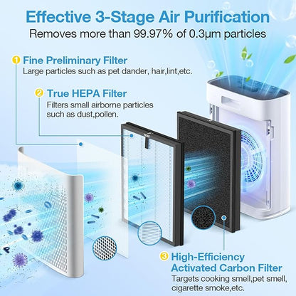 2 Pack HAP603 Replacement Filter Compatible with ECOSELF HAP603 / HAP603WF Air Purifier, Air Purifiers Replacement Filter for Home Large Room, # RFHAP603_2P_BLU, Blue