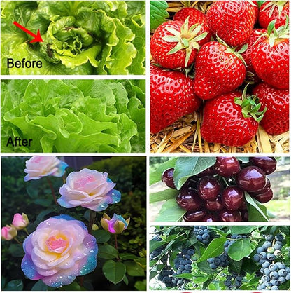 Garden Netting, 2 Pack 8x24Ft Ultra Fine Mesh Netting Pest Barrier Protection Bird Mosquito Net Plants Cover for Vegetables Fruits Flowers Crops Greenhouse Row Cover Raised Bed Patio Mesh Netting