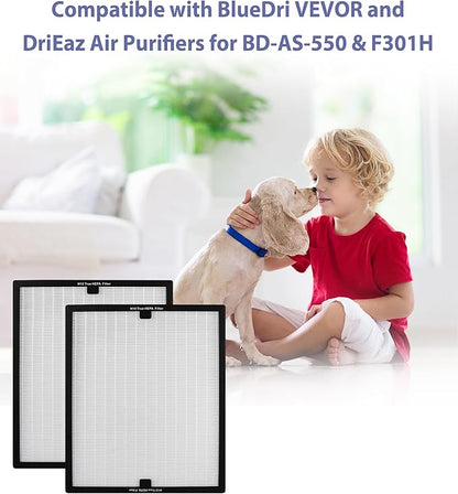 BD-AS-550 Air Scrubber Stage 2 Replacement Filter Compatible with BlueDri, VEVOR and Dri-Eaz Scrubber Air Purifier, for F301H, True HEPA H13 Filter of 16 x 19 x 2 inches（2 Pack）