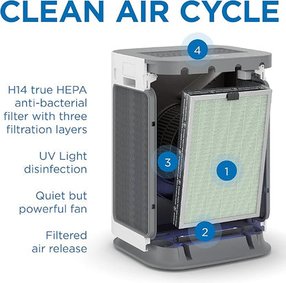 Medify MA-125 Genuine Replacement Filter | for Allergens, Wildfire Smoke, Dust, Odors, Pollen, Pet Dander | 3 in 1 with Pre-filter, HEPA H14, and Activated Carbon | Removal to 0.1 Microns | 2-Pack