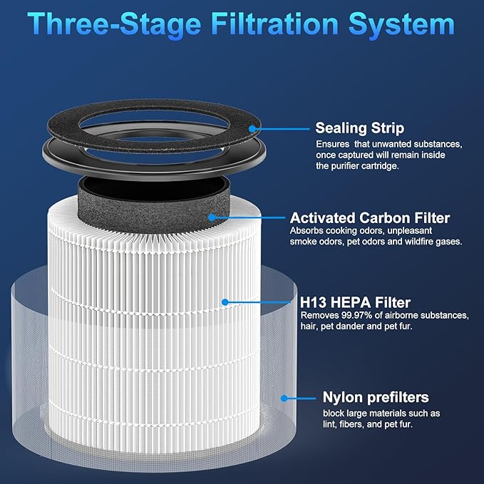 Tailulu D10 Replacement Filter, Air Purifier Filter for Tailulu D10 Air Purifier, 3-in-1 H13 Grade True Replacement Filte 1 Pack with Extra 6 Pieces Aroma Pads