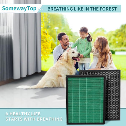 BioGS 2.0 Filters Replacement Kit Compatible with Filter Replacement SPA-550A and SPA-625A, Air Cleaner to Remove Odor for Home and Large Room, 1x H13 True HEPA and 1x Carbon
