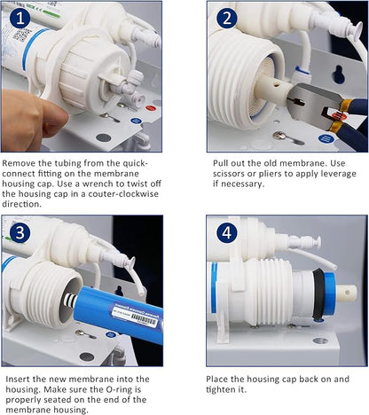 Membrane Solutions 50 GPD RO Membrane 1.75"x11.75" Standard Reverse Osmosis Membrane Filter Replacement for Kitchen Under Sink RO System and Aquarium Reef Tank, ROULP-1812-50 (2-Pack)