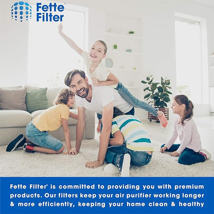 Fette Filter -Premium True Hepa H13 Filter Replacement Compatible with Fellowes AeraMax 190/200/DX55 Air Cleaner Purifiers Part # 9287101 9324101 (2-Hepa + 8 Carbon Filters)
