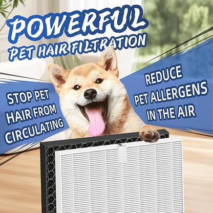 116130 HEPA Replacement Filter H for Winix 5500-2 Am80 Plasmawave Air Purifier,H13 True HEPA High-Efficiency Activated Carbon Filter,2 Combo Set