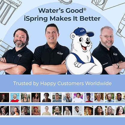 iSpring AFLT3 Automatic Water Filter Timer, Lifespan Reminder for Whole House and Under Sink Water Filter Systems, Up to 3 Stages and 12 Months Countdown