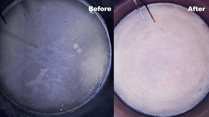 2 bottles DPF Filter Purge: The Most Economical Way to Clean and Protect Your Diesel Particulate Filter, Diesel Additive, High Performance Helps Regeneration No Assembling 500ml 16.9 oz x 2