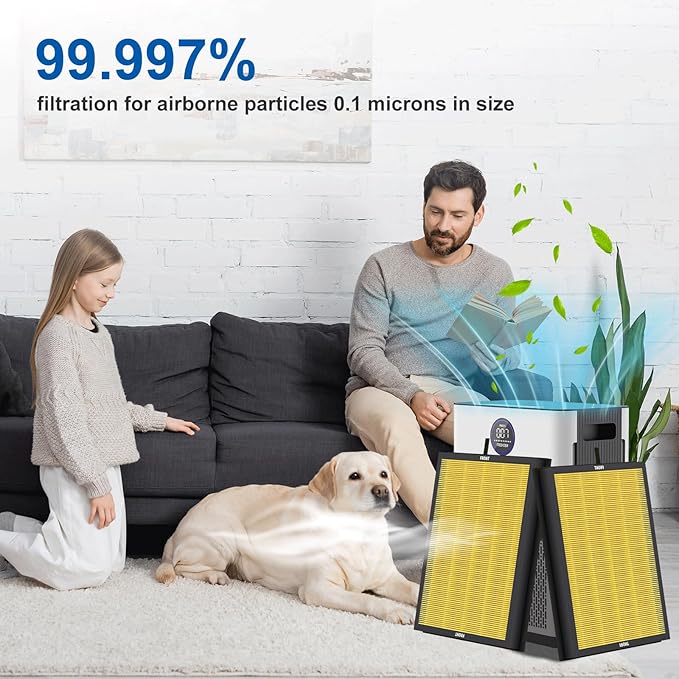AP303 AP304 Replacement Filter, Compatible with DAYETTE FRESHDEW Air Cleaner Puri-Fier, HEPA Filter with 3 Stage Filtration, 2 Pack