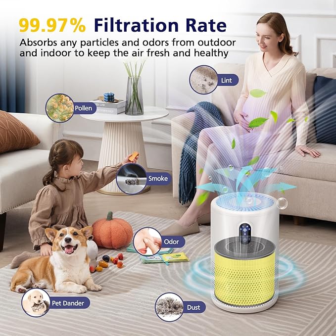 B-D02L/M05/B-D02U H13 Filter Compatible with VEWIOR B-D02U, for MOOKA B-D02L& M05, for Tailulu D10 Air Purifi-er, 3-Stage H13 Efficient Filter for B-D02L/M05/B-D02U, 2 Pack