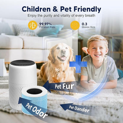 Core Mini Smoke Remover Replacement Filter for LEVOIT Core Mini and Core Mini-P Air Purifier, 3-in-1 H13 Grade True HEPA and Activated Carbon, Core Mini-RF-SR, 2 Filter & 10 Fragrance Sponge, Blue