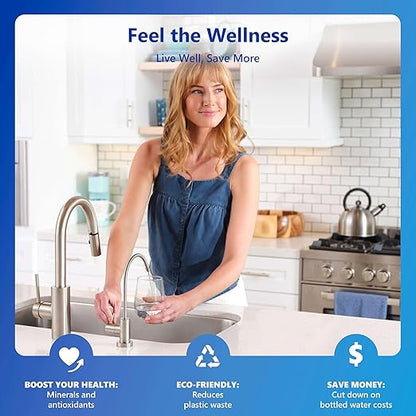 Express Water 10 Stage Reverse Osmosis Alkaline Water Filtration System - Under Sink Water Filter with Faucet and Tank, 100 GPD