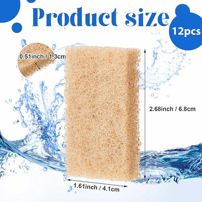 12 Pcs Ammonia Remover Inserts Compatible with Flex/spec/evo, Replacement Aquarium Filter Media for Freshwater and Saltwater Aquariums, Removing and Reducing Ammonia