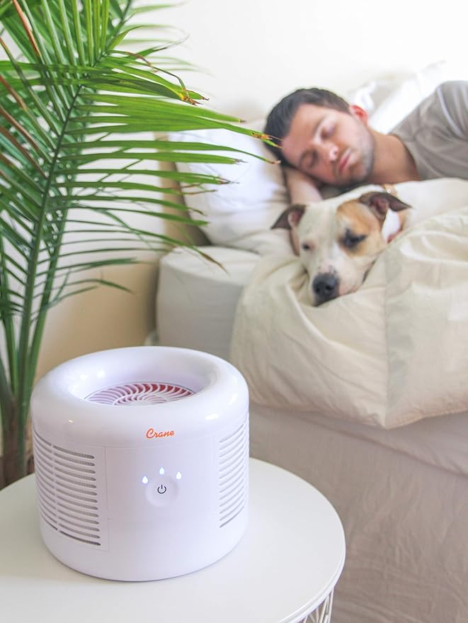 Crane HEPA Air Purifier, Air Purifiers for Home, Quiet Air Purifier HEPA Filter, Home Air Purifiers, Air Purifier For Pets, Office, Baby Nursery