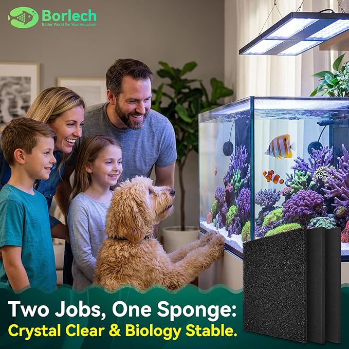 Borlech Aquarium Bio Filter Sponge Pad - Cut-to-Size Aquarium Filter Media for Fish Tank, Pond, Sump - Mechanical & Biological Filtration (18.5"x18.5"x0.8", 20PPI, 2 Pack)