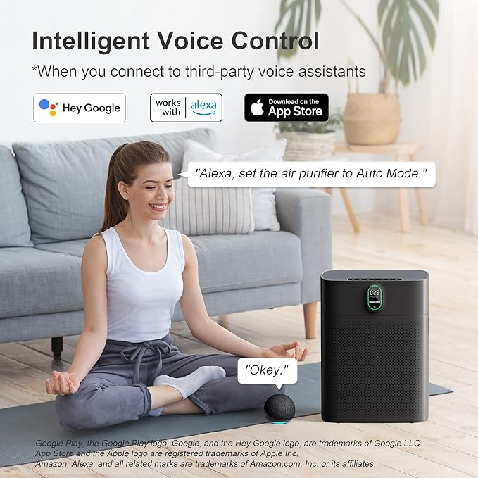 MORENTO Air Purifier for home Large Rooms up to 1076 ft2, Wi-Fi and Alexa compatible, PM2.5 Air Quality Display, Auto Mode, HEPA Filter Removes Dust, Pollen, Smoke 1 Pack +2 Pack Filters(Black)