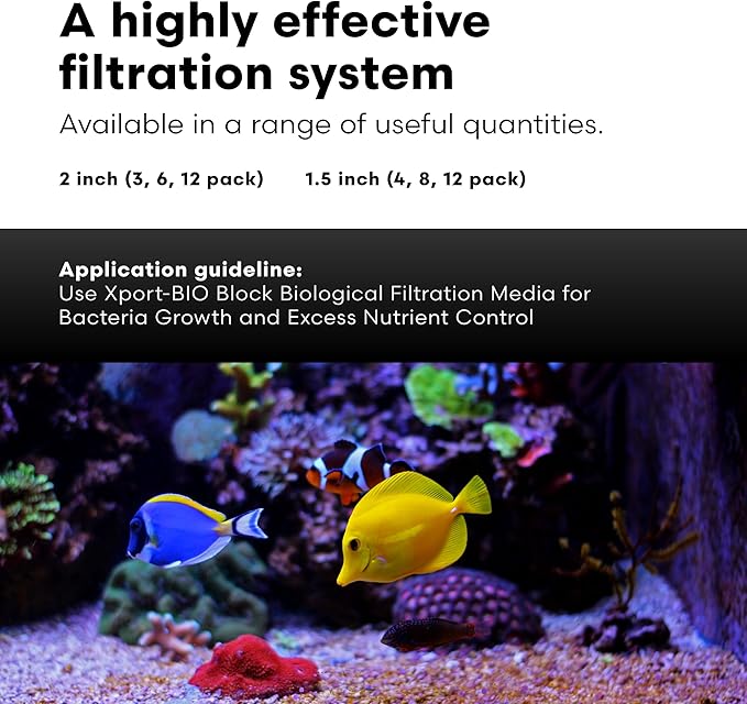 Brightwell Aquatics - Xport-BIO Block Aquarium Filter - Biological Filtration Media for Bacteria Growth, Nutrient Control & Control of Unwanted Nutrients - Aquarium Water Treatments, 8 Pack, 1.5 inch