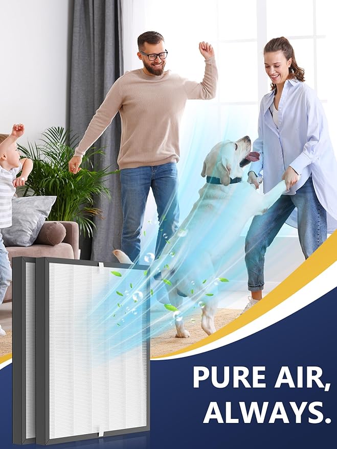 3000 Replacement Filter Compatible with Air Doctor AD3000 Version Air Purifier, Not for AD3500, 2 High-Efficiency Filters, Compare to Part #ADF3001