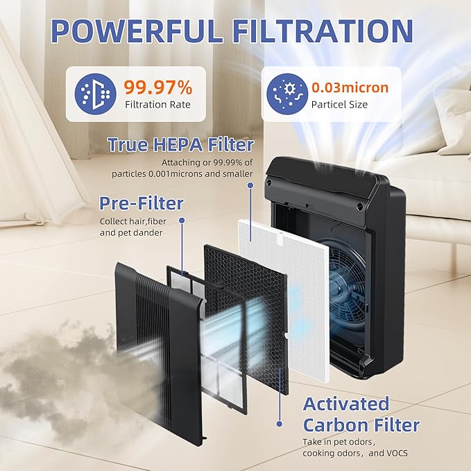 116130 HEPA Replacement Filter H for Winix 5500-2 Am80 Plasmawave Air Purifier,H13 True HEPA High-Efficiency Activated Carbon Filter,2 Combo Set