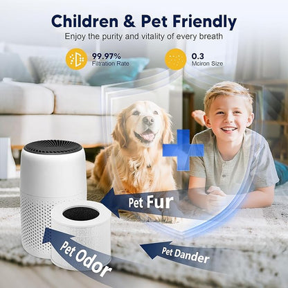 Core Mini Replacement Filter for LEVOIT Core Mini and Core Mini-P Air Purifier, 3-in-1 H13 Grade True HEPA and High-Efficiency Activated Carbon, Core Mini-RF, 4 Filter & 10 Fragrance Sponge