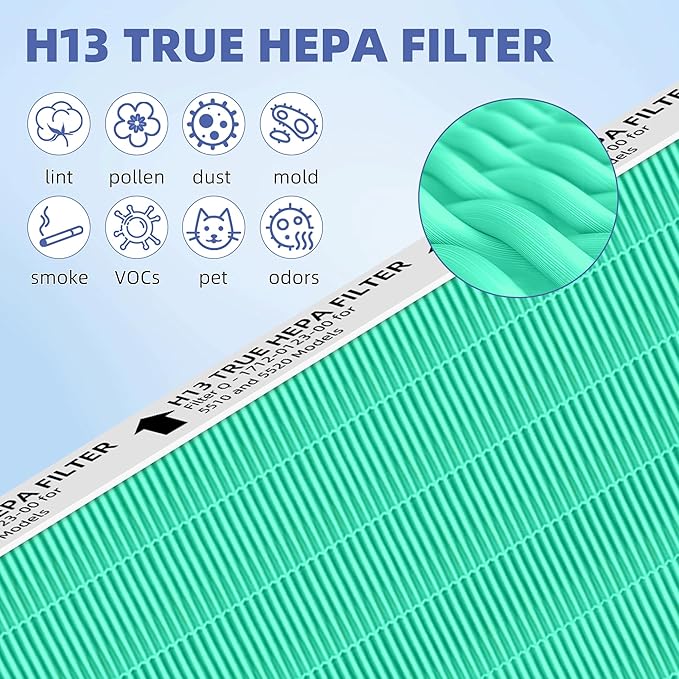 5510 5520 HEPA Toxin Absorbe Air Purifier Filter Q Replacement for Winix 5510 5520 Plasmawave Air Purifier H13 True HEPA Carbon Filter,# 1712-0123-00,2 Combon Set