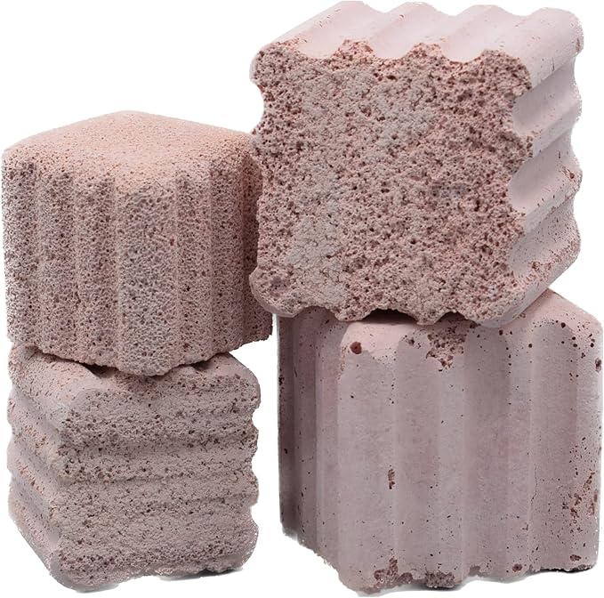 Brightwell Aquatics Xport-BIO Block - Biological Filtration Mediafor Bacteria Growth and Phosphate Reduction, 6 pack, 2"