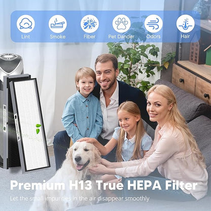 FLT4825SM HEPA Filter B Smoke Clear Replacement Compatible with G-Guardian AC4825, AC4300, AC4900, AC4825DLX, AC4850 Air Purifier, 4 H13 True HEPA Filters + 8 Activated Carbon Pre-Filters, Gray
