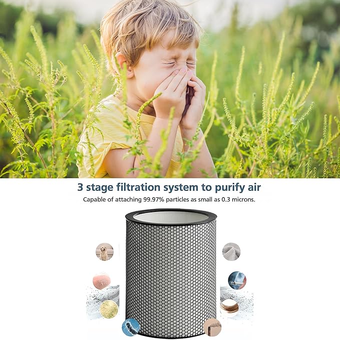 972132-01 H13 Grade Glass Big HEPA Filter Compatible for Dyson Purifier BP03 and BP04 (Big), Airborne Wildfire, Smoke, Pollen, Pet Dander, and Dust