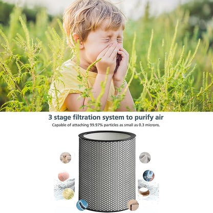 972132-01 H13 Grade Glass Big HEPA Filter Compatible for Dyson Purifier BP03 and BP04 (Big), Airborne Wildfire, Smoke, Pollen, Pet Dander, and Dust