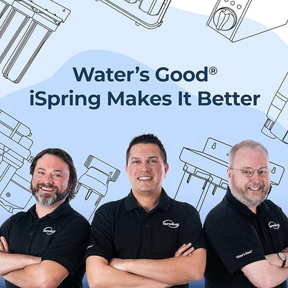iSpring SGS-Tested PFAS Removal Carbon Block Replacement Water Filter Cartridge FCPFDS for DS4 Series