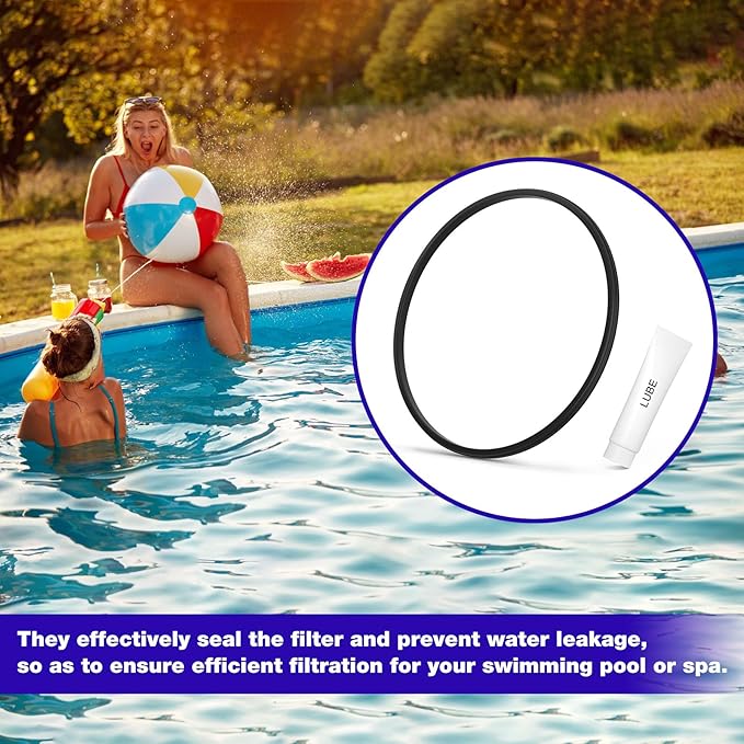 DEX2422Z2 Filter Seal O-Ring Gasket for C4030 C3030 C2030, Hayward Pool Pump Seal Kit Replacement DE4820 DE2420, Pool Filter Parts for Hayward Pro-Grid DE Swim Clear Cartridge Filter