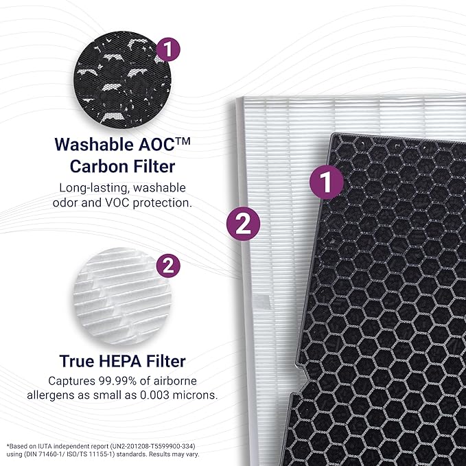 Genuine Winix 116130 Replacement Filter H for 5500-2 Air Purifier , 16.25"L x 12.5"W x 1.5"Th, White