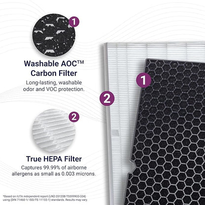 Genuine Winix 116130 Replacement Filter H for 5500-2 Air Purifier , 16.25"L x 12.5"W x 1.5"Th, White