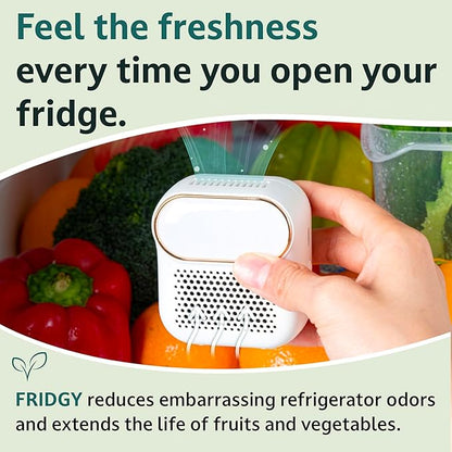 Fridge Air Purifier | Keeps Fridge Odor-Free & Produce Fresh Longer | Compact, Easy to Use & Battery-Powered Deodorizer | Better Than Baking Soda