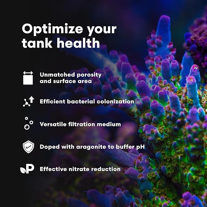 Brightwell Aquatics - Xport-BIO Block Aquarium Filter - Biological Filtration Media for Bacteria Growth, Nutrient Control & Control of Unwanted Nutrients - Aquarium Water Treatments, 8 Pack, 1.5 inch