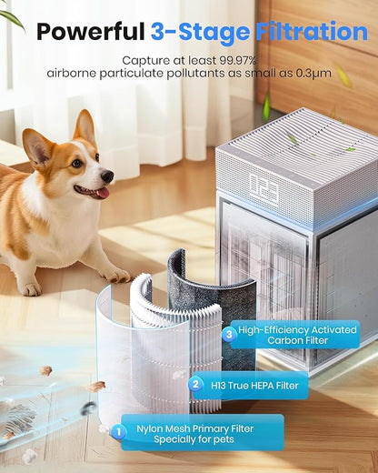 Air Purifiers for Home Large Room Bedroom up to 3600 Sq Ft PM 2.5 Display Air Quality Sensor True HEPA Air Filter for Fur Odor Smoke with Three-Sided Air Inlet, Gray, PB6866, 1 Pack