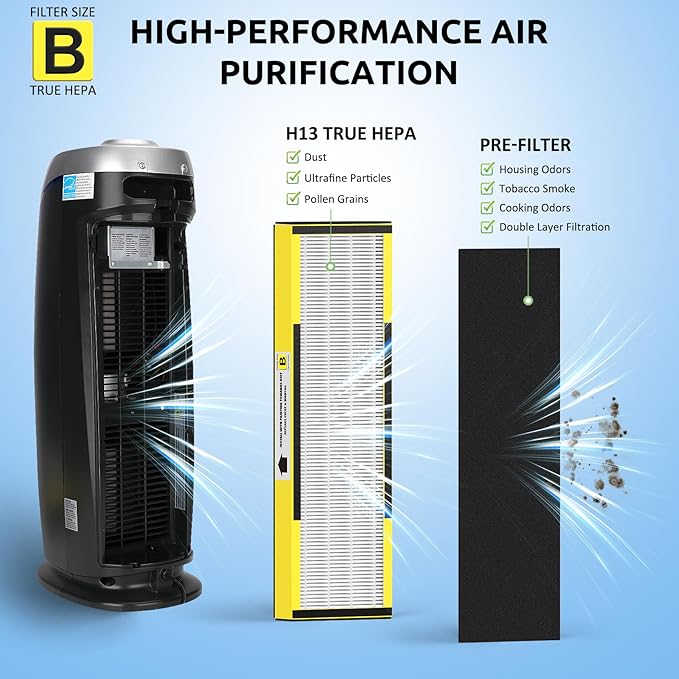 Filter B, FLT4825 Filter Replacement for Guardian AC4825 AC4825E AC4300 AC4800 AC4850 Air Purifier – 2 True HEPA Filters & 6 Pre-Filters (2-Pack)