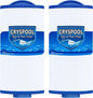 Cryspool® 04060 Spa Filter Compatible with PMA-R3/268548 with Closed Handle, 4CH-935, PWW35L, FC-0170, X268554, X268535, 817-4035, 35 Sq. Ft Hot Tub Filter Cartridge, 2 Pack