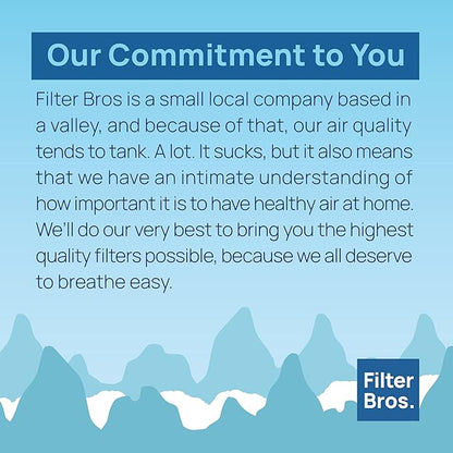 Filter Bros LV-H132-RF High Efficiency Activated Carbon Replacement Filter Fits LEVOIT H132