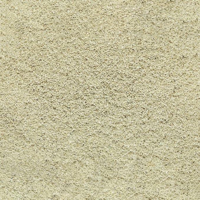 Swimming Pool Sand Filter Alternative (50-pounds)
