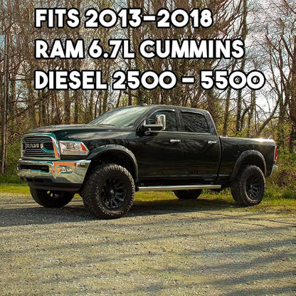 Diesly Pro 6.7L Cummins Fuel Filters | LIFETIME INJECTOR WARRANTY | Replacement for 2013-2018 Dodge Ram 2500 3500 4500 5500 | Replaces# 68197867AA, 68157291AA Diesel Engines