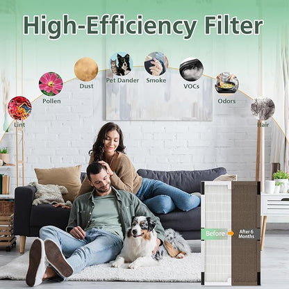 Replacement Filter C for Idylis IAF-H-100C, IAP-10-200, IAP-10-280, 2 Pack Type C Hepa Filter & 2 Activated Carbon Pre-Filter)